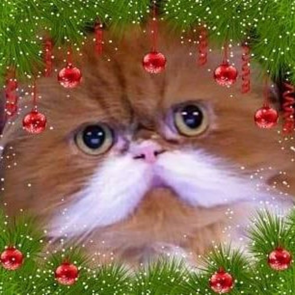 Meet your Posher, Theresa